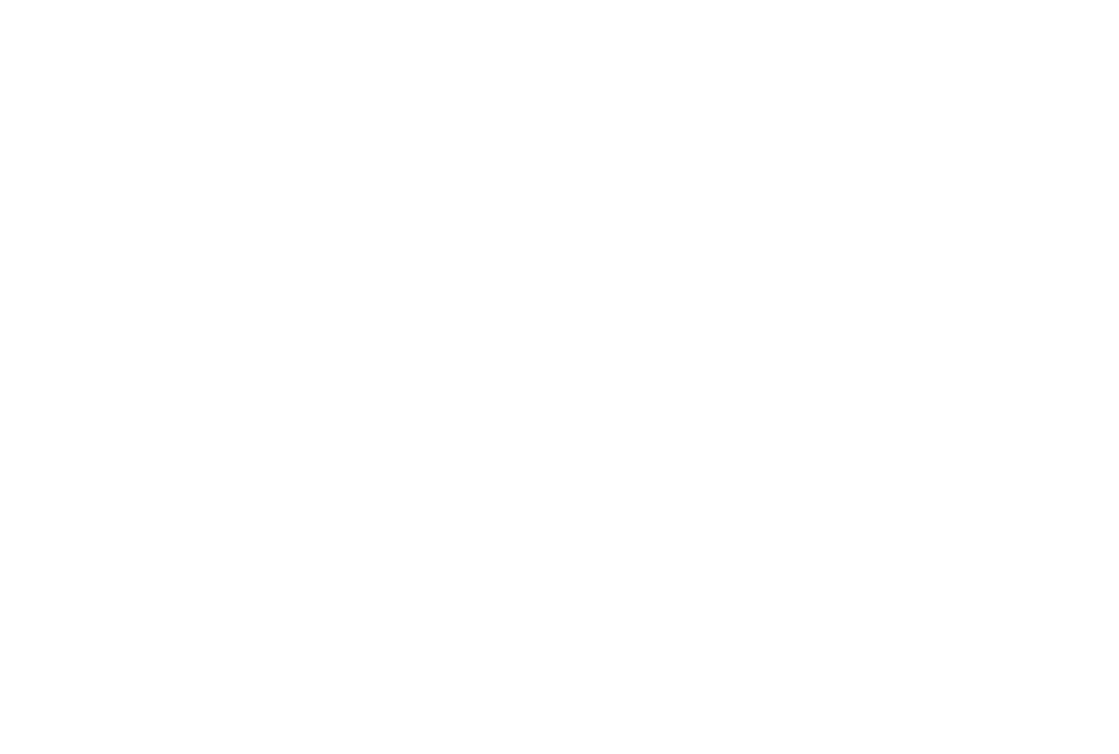 Resting Koala