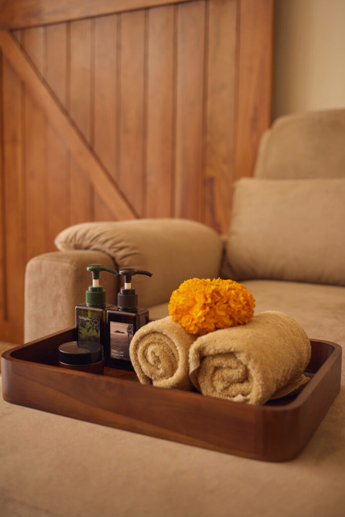 Resting Koala Bali 13