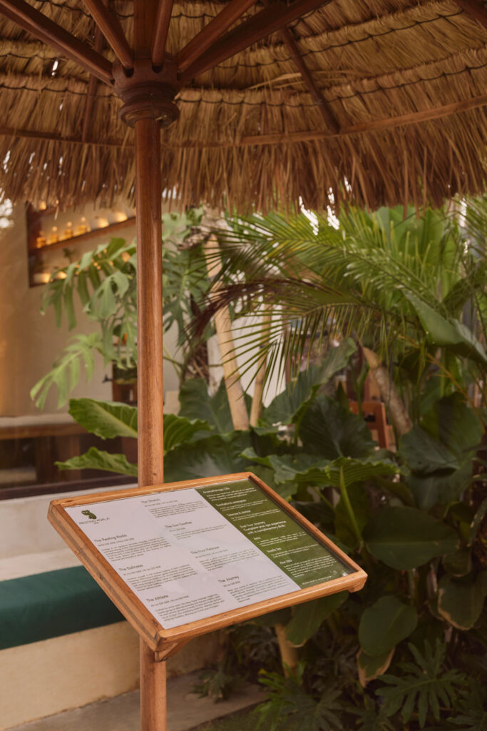 Resting Koala Bali 28