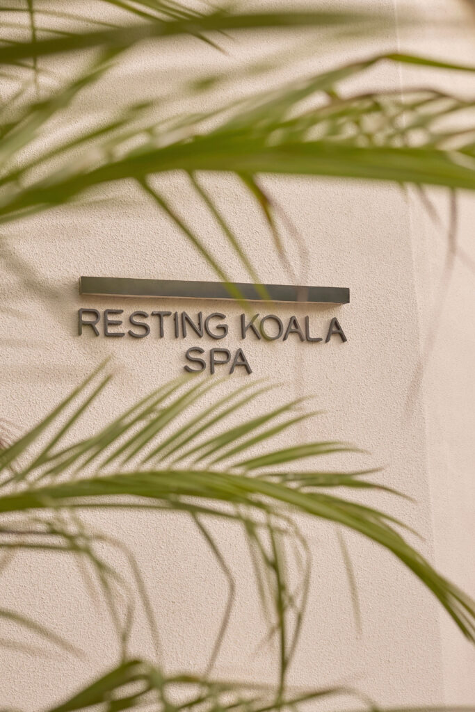 Resting Koala Bali 30